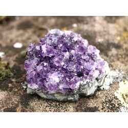 Amethyst Kristallstufe / Ladestufe mitteldunkel (Uruquai) - AAA-Sonderqualitt - ca. 6 cm x 5 cm x 3 cm