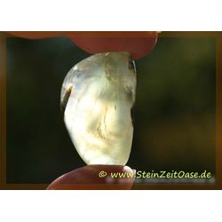 Prehnit grn Trommelstein - AA-Sonderqualitt - ca. 2,7 cm x 1,9 cm x 1,1 cm (GKS)