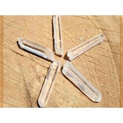 Bergkristall-Nadel-Set: 5 Natur-Nadeln ca. 1,8 - 2 cm in Aufbewahrungsbox - Sonderqualitt -