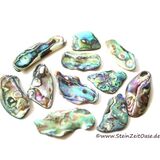 Paua-Muschel (Abalone) - Sonderqualitt - ca. 2 - 2,4 cm