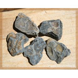 Stromatolith Wassersteine-Sonderqualitt / Rohsteine extra angetrommelt - ca. 50 g (GKS)