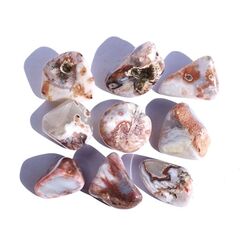 Achat rot-wei / wei-rot (Fleischachat) Trommelsteine - Sonderqualitt -  ca. 2,6 - 3,6 cm / ca. 11-15 g/St