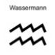 02. Wassermann - 20.1.-18.2.
