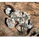 Herkimer