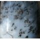 Dendritenchalcedon