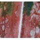 Buntjaspis (Jaspis bunt / Fancy Jasper)