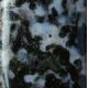 Gabbro