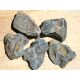 Stromatolith