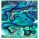 Abalone