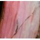 Pinkopal (Andenopal rosa)