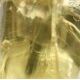 Limonencitrin / Limonenquarz