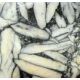 Pinolith (Eisblumen-Magnesit)