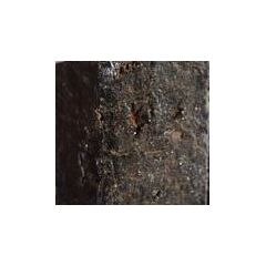 Hornblende