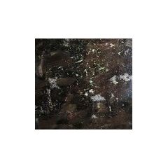 Bronzit-Gabbro