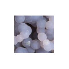 Traubenachat (Traubenchalcedon / Grape Agate)
