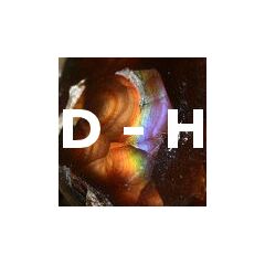 D - H