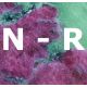 N - R