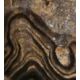 Stromatolith
