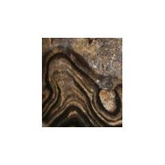 Stromatolith