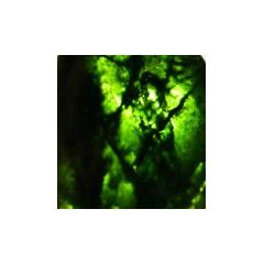 Chromdiopsid