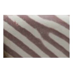 Zebra Rock