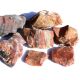 Versteinertes Holz