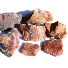 Versteinertes Holz
