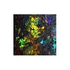 Honduras-Opal (Edelopal / Blackopal)