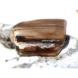 Versteinertes Holz XXL Trommelstein - Sonderqualität...