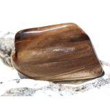 Versteinertes Holz XXL Trommelstein - Sonderqualität - ca. 4,1 cm x 2,8 cm x 1,3 cm (Fairer Handel / GKS)