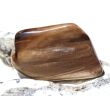 Versteinertes Holz XXL Trommelstein - Sonderqualität - ca. 4,1 cm x 2,8 cm x 1,3 cm (Fairer Handel / GKS)