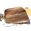 Versteinertes Holz XXL Trommelstein - Sonderqualität - ca. 4,1 cm x 2,8 cm x 1,3 cm (Fairer Handel / GKS)