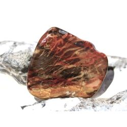 Versteinertes Holz Trommelstein - Sonderqualit�t - ca. 3...