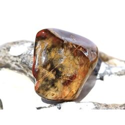 Versteinertes Holz Trommelstein - Sonderqualit�t - ca. 3 cm x 2,9 cm x 1,1 cm (Fairer Handel / GKS)