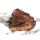 Versteinertes Holz Trommelstein - Sonderqualit�t - ca. 3...