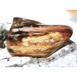 Versteinertes Holz XXL Trommelstein - Sonderqualität - ca. 4,5 cm x 2,8 cm x 1,4 cm (Fairer Handel / GKS)