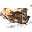 Versteinertes Holz XXL Trommelstein - Sonderqualität - ca. 4,5 cm x 2,8 cm x 1,4 cm (Fairer Handel / GKS)