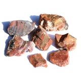 Versteinertes Holz Rohsteine - Sonderqualit�t - ca. 100 g...