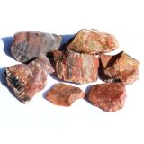 Versteinertes Holz Rohsteine - Sonderqualität - ca....
