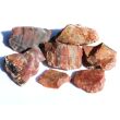 Versteinertes Holz Rohsteine - Sonderqualität - ca. 100 g - Restbestand -