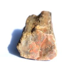 Versteinertes Holz XXL Ast / Stamm / Rohstein - Sonderqualit�t - ca. 6,3 cm x 3,7 cm x 3,1 cm