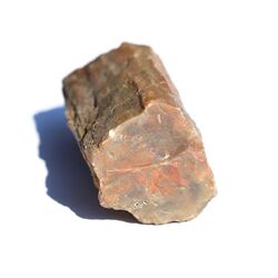 Versteinertes Holz XXL Ast / Stamm / Rohstein - Sonderqualit�t - ca. 6,3 cm x 3,7 cm x 3,1 cm