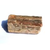 Versteinertes Holz XXL Ast / Stamm / Rohstein - Sonderqualität - ca. 6,3 cm x 3,7 cm x 3,1 cm
