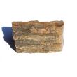 Versteinertes Holz XXL Ast / Stamm / Rohstein - Sonderqualität - ca. 6,3 cm x 3,7 cm x 3,1 cm