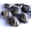Mondstein schwarz (Feldspat) Trommelsteine - Sonderqualität - Rarität - ca. 3,1 - 3,5 cm / ca. 25-30 g/St (GKS)