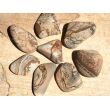 Landschaftsjaspis Wassersteine-Sonderqualität / Trommelsteine roh - ca. 100 g (GKS)