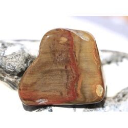Versteinertes Holz Trommelstein - Sonderqualit�t - ca. 3,3 cm x 2,7 cm x 1,8 cm (Fairer Handel / GKS)