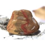Versteinertes Holz Trommelstein - Sonderqualität -...