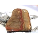 Versteinertes Holz Trommelstein - Sonderqualität - ca. 3,3 cm x 2,7 cm x 1,8 cm (GKS)