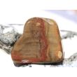 Versteinertes Holz Trommelstein - Sonderqualität - ca. 3,3 cm x 2,7 cm x 1,8 cm (GKS)